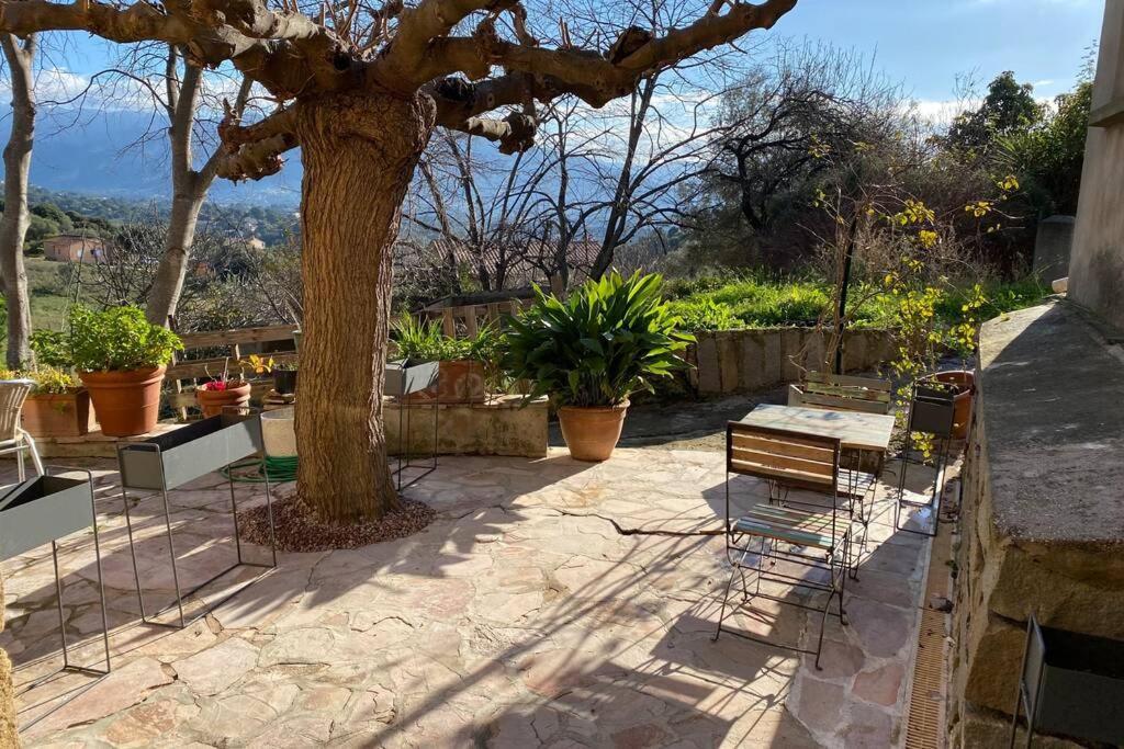 Maison typique corse à 10 min d'Ajaccio et plages Alata Extérieur photo